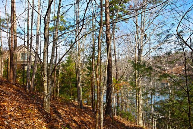 Lot 5 Royal Reserve, Sunset, SC 29685