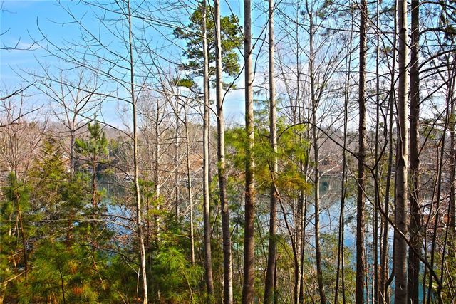 Lot 5 Royal Reserve, Sunset, SC 29685