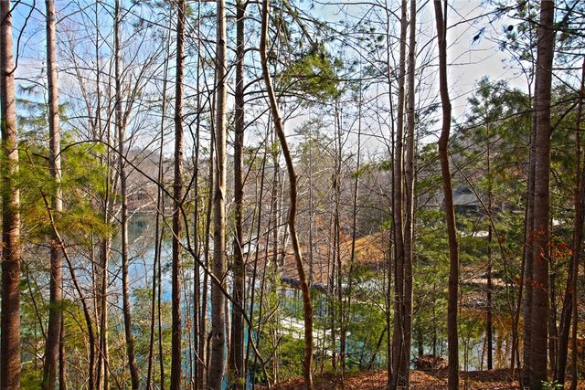 Lot 5 Royal Reserve, Sunset, SC 29685
