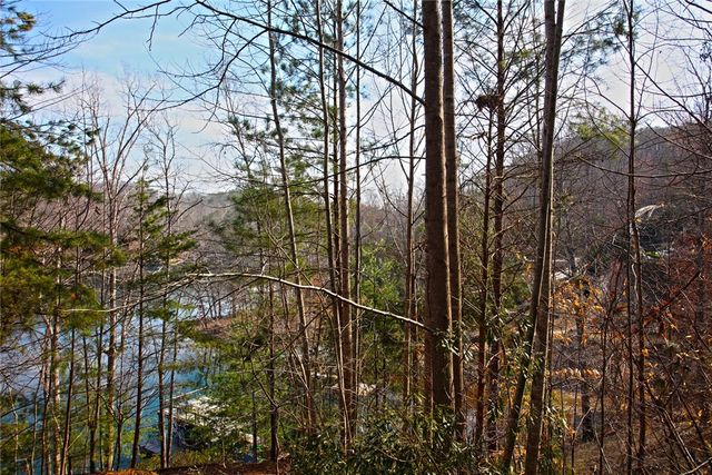 Lot 5 Royal Reserve, Sunset, SC 29685