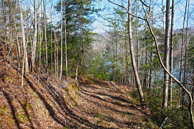 Lot 5 Royal Reserve, Sunset, SC 29685