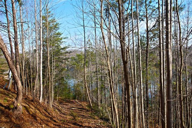 Lot 5 Royal Reserve, Sunset, SC 29685