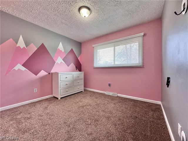 4230 Selkirk Avenue, Austintown, OH 44511