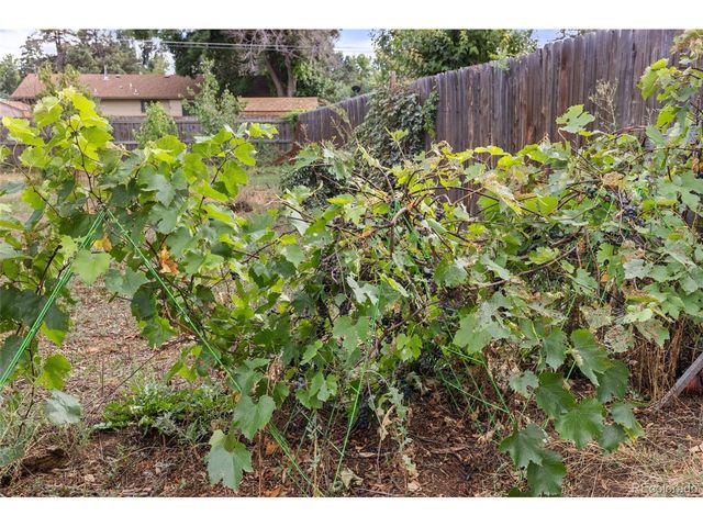 604 W 9th St, Loveland, CO 80537