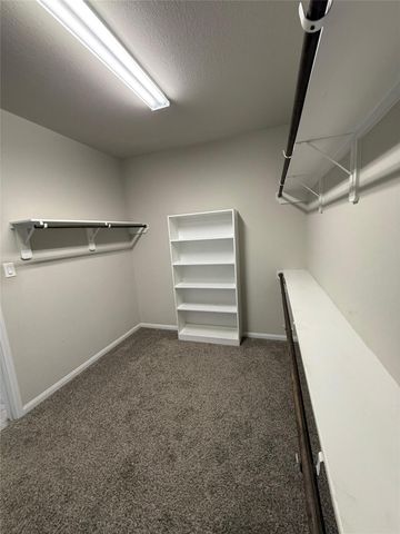 2826 Saw Palmetto Trail, Katy, TX 77493