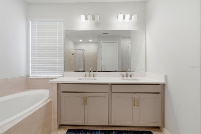 33773 ASTORIA CIRCLE, Wesley Chapel, FL 33545