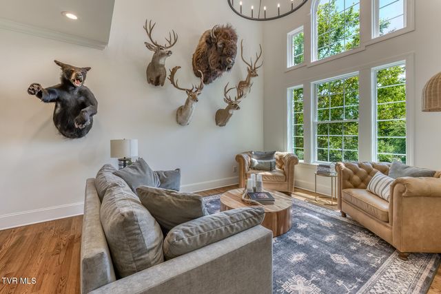 11 Dove Tree Lane, Jonesborough, TN 37659