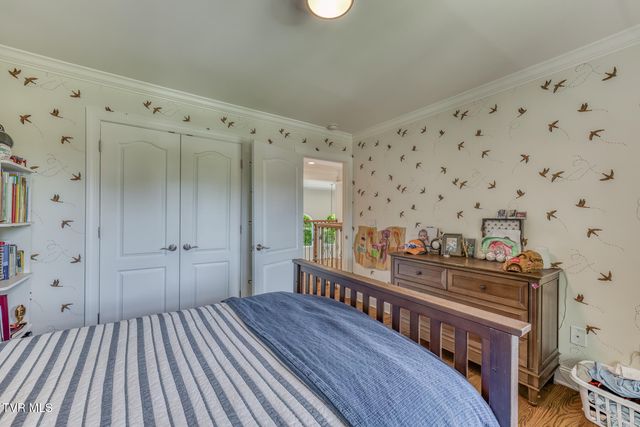 11 Dove Tree Lane, Jonesborough, TN 37659
