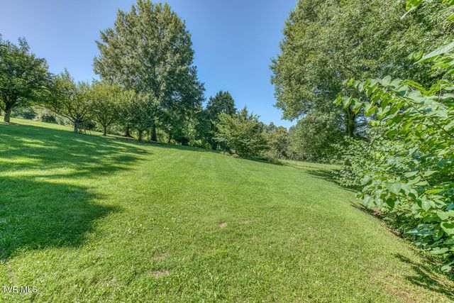 11 Dove Tree Lane, Jonesborough, TN 37659
