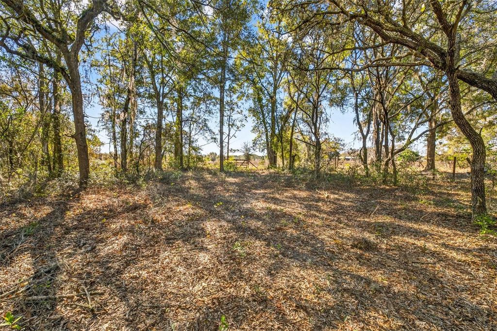 Image 13 of property listing at 16624 HELEN K DRIVE, Spring Hill, FL 34610