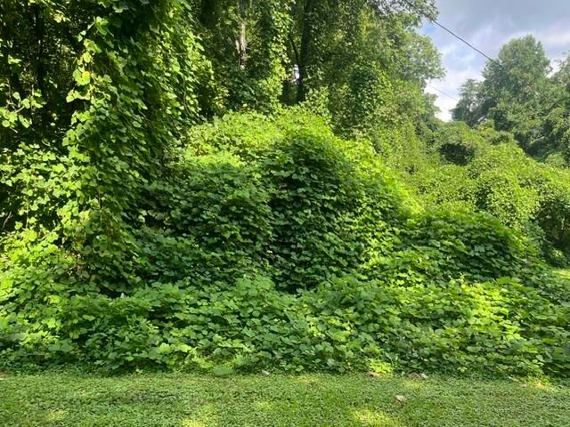 8819 Gann Road 2, Soddy Daisy, TN 37379