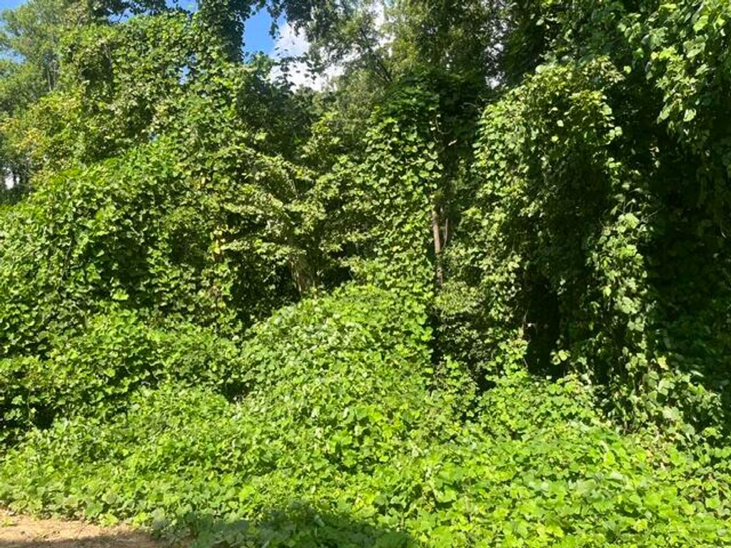 8819 Gann Road 2, Soddy Daisy, TN 37379