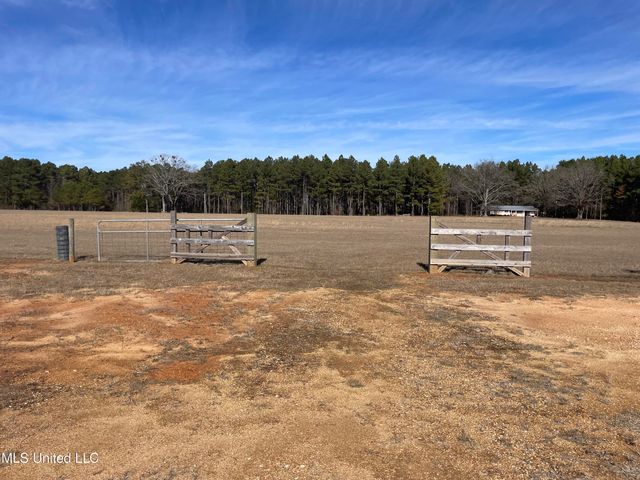 10301 Road 783, Philadelphia, MS 39350