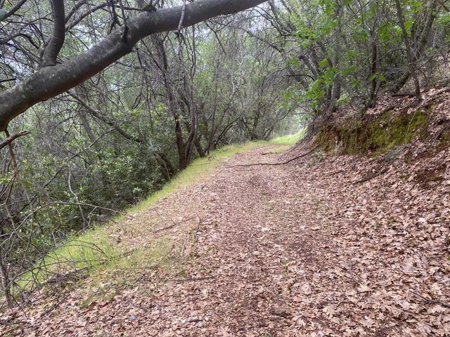 5021 Banbury Cross Rd, Shingle Springs, CA 95682
