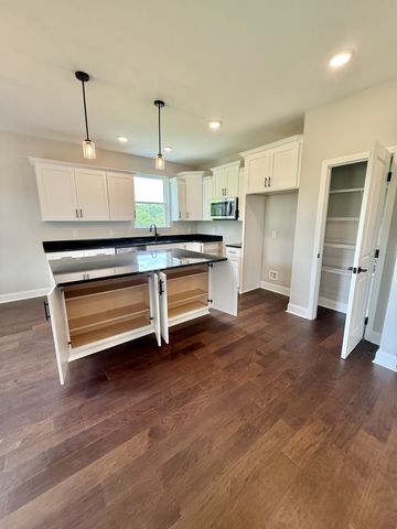 65 Misty Ln, Castalian Springs, TN 37031