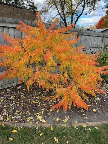 941 Mary Avenue, Willmar, MN 56201