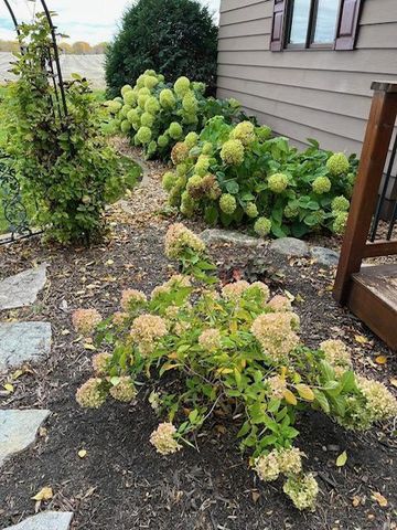 941 Mary Avenue, Willmar, MN 56201