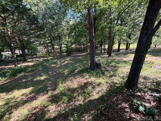 1611 Shelton Cove, Pocahontas, AR 72455