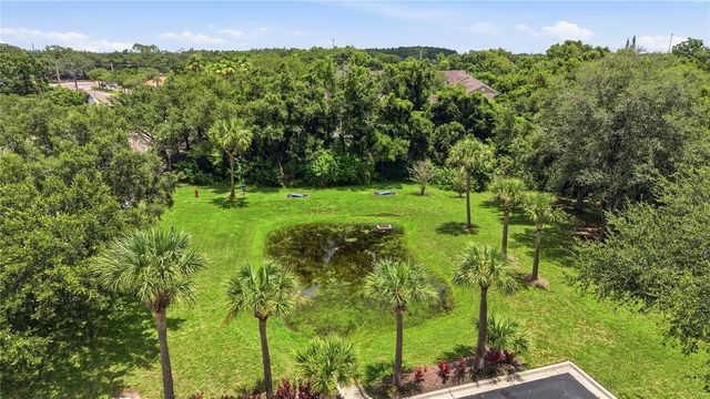 10106 BELLEVILLE PLACE, Tampa, FL 33624