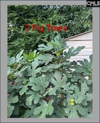 1123 Pine Street, West Columbia, SC 29172