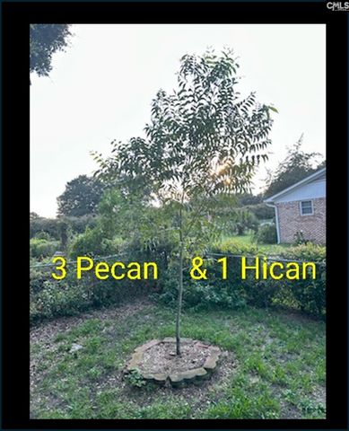 1123 Pine Street, West Columbia, SC 29172