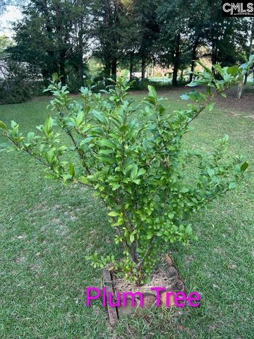 1123 Pine Street, West Columbia, SC 29172