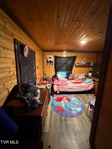 231 Jarrett Road, Limestone, TN 37681