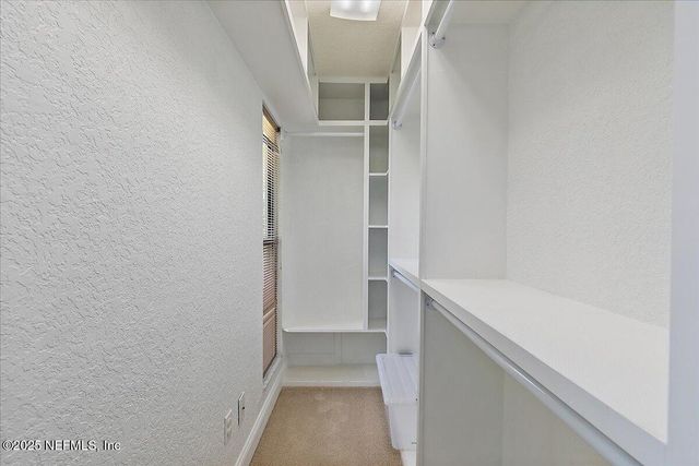 777 ARTHUR MOORE Drive, Green Cove Springs, FL 32043