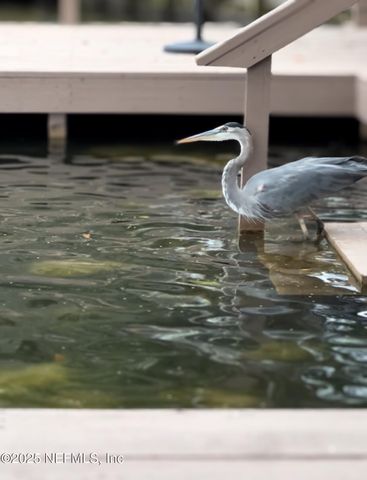 777 ARTHUR MOORE Drive, Green Cove Springs, FL 32043