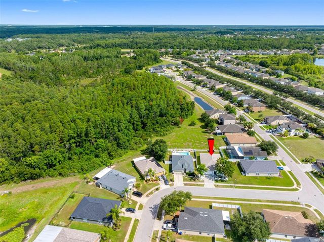5610 SHEER BLISS LOOP, Land O Lakes, FL 34639