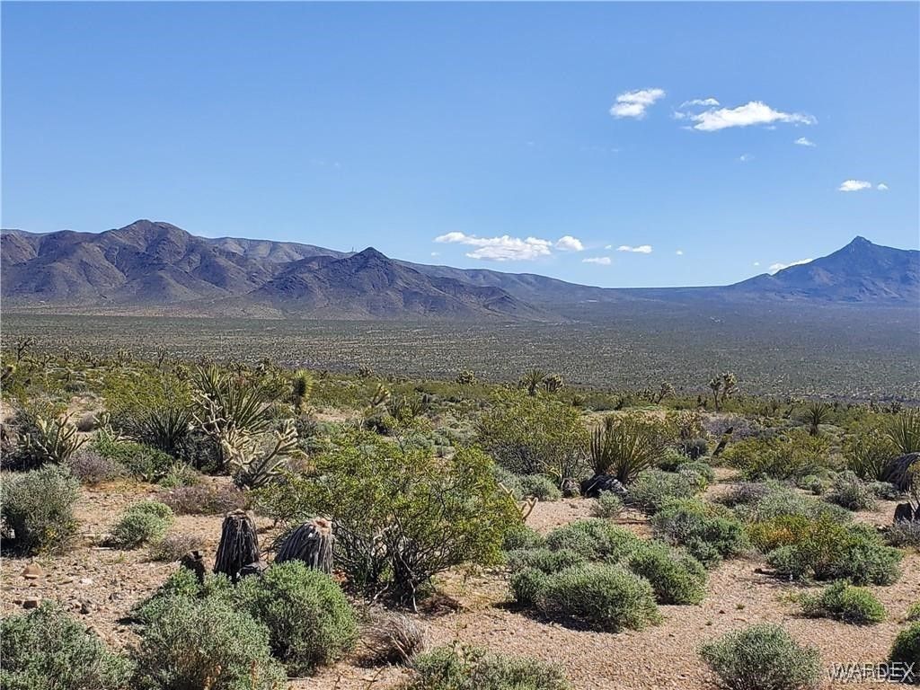 Lot 3076 W Gold Basin Drive, Meadview, AZ 86444