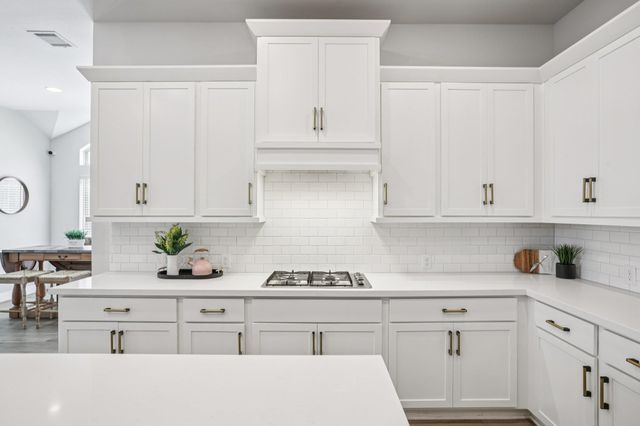 229 Majestic Sage TRL, San Marcos, TX 78666