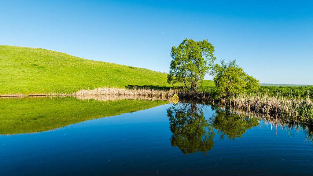 42 Shepards Road, Big Horn, WY 82833 photo 11