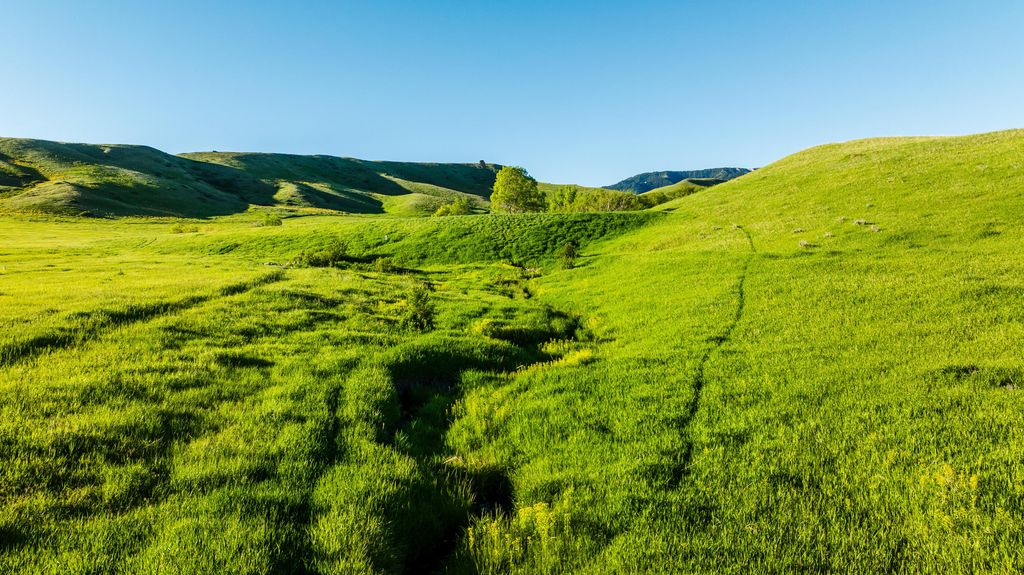 42 Shepards Road, Big Horn, WY 82833 photo 28