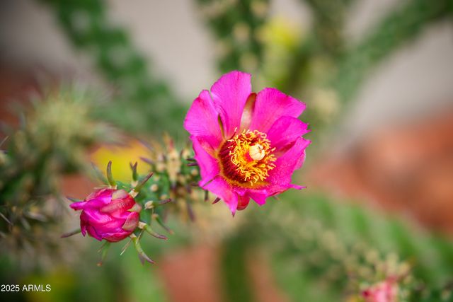 170 E BIGHORN Court, Sedona, AZ 86351