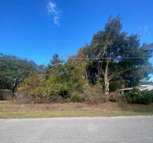 0 SE 143 LN, Summerfield, FL 34491