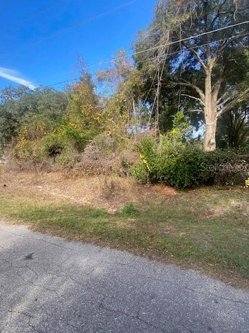0 SE 143 LN, Summerfield, FL 34491