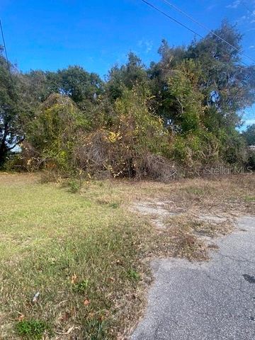 0 SE 143 LN, Summerfield, FL 34491