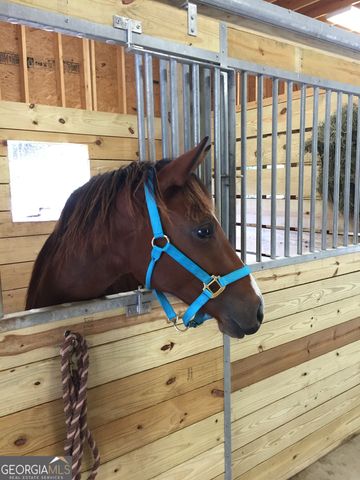 3622 Sandy Ford Road, Clayton, GA 30525