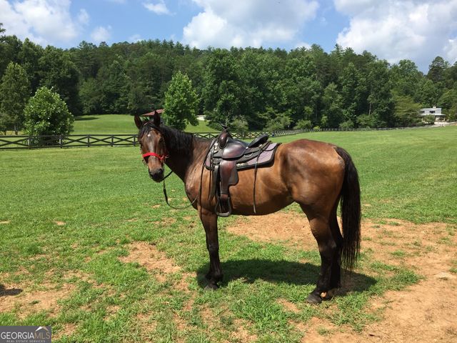 3622 Sandy Ford Road, Clayton, GA 30525