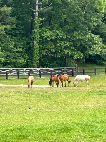 3622 Sandy Ford Road, Clayton, GA 30525