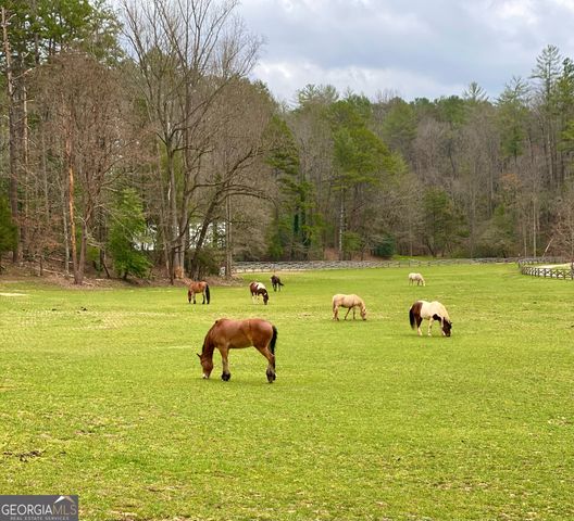 3622 Sandy Ford Road, Clayton, GA 30525