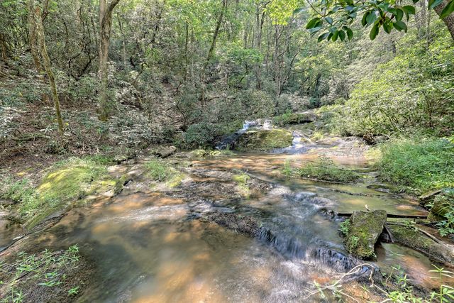 3622 Sandy Ford Road, Clayton, GA 30525