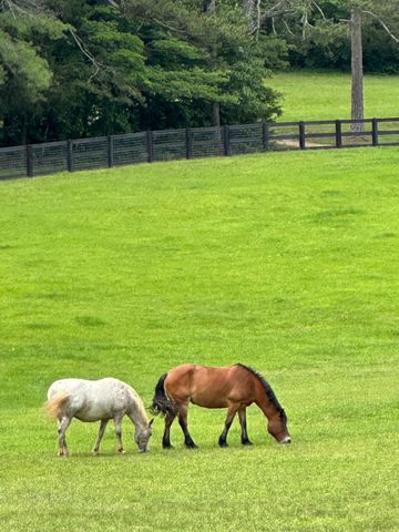 3622 Sandy Ford Road, Clayton, GA 30525