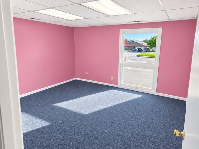 17050 S Park Avenue AUL, South Holland, IL 60473