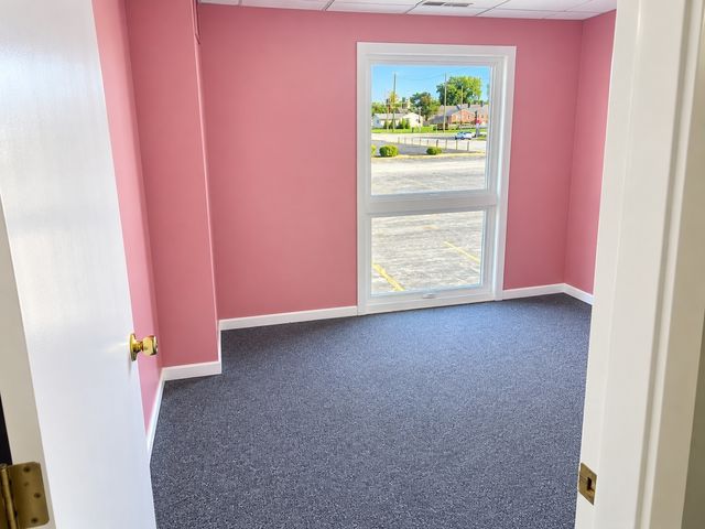 17050 S Park Avenue AUL, South Holland, IL 60473