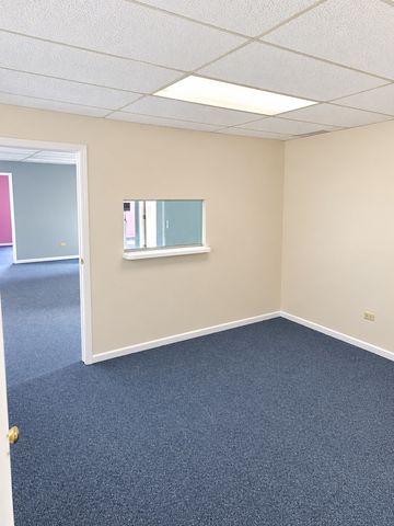 17050 S Park Avenue AUL, South Holland, IL 60473