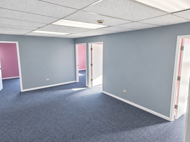 17050 S Park Avenue AUL, South Holland, IL 60473