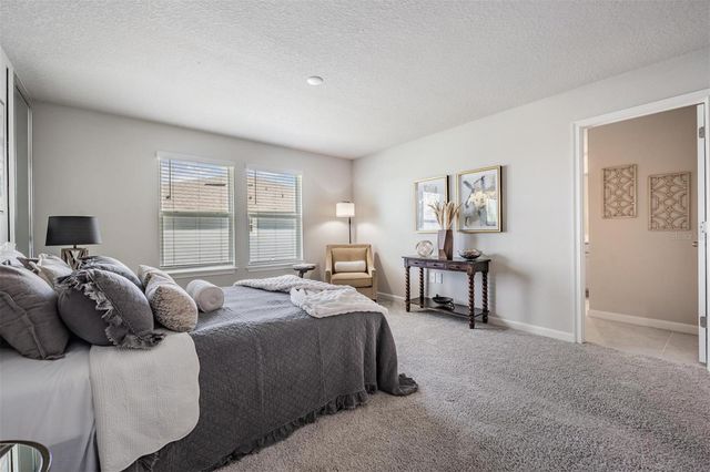 19219 BLUE POND DRIVE, Lutz, FL 33558