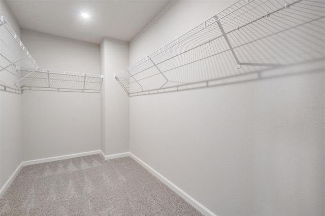 19219 BLUE POND DRIVE, Lutz, FL 33558